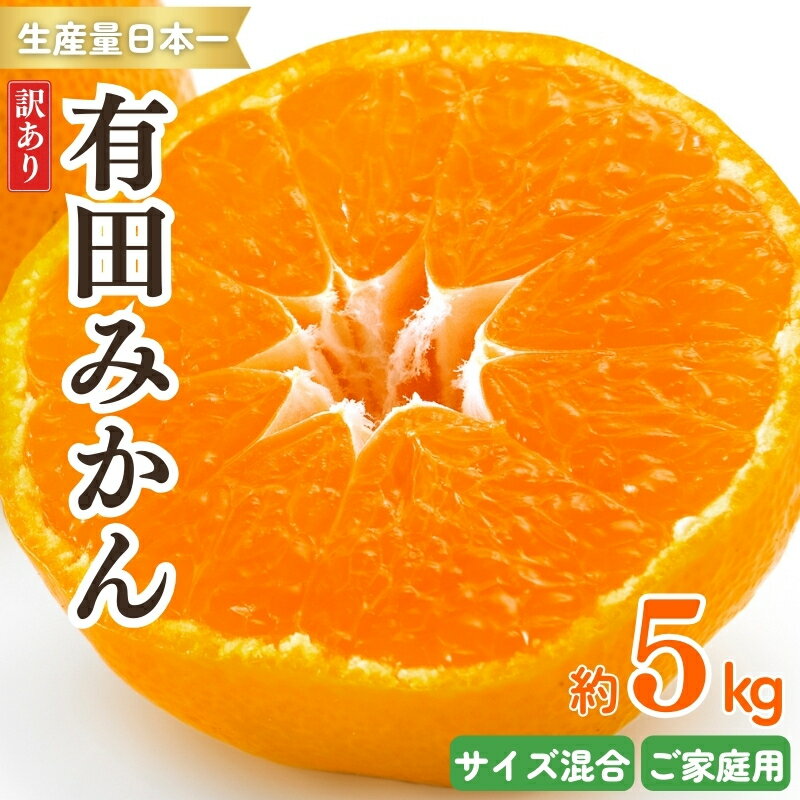 紀州 有田みかん 訳あり 約5kg ご家庭用 サイズ混合 温州みかん ミカン 蜜柑 柑橘 フルーツ ※2025年11月下旬〜2026年1月中旬頃順次発送予定 ※北海道・沖縄・離島配送不可