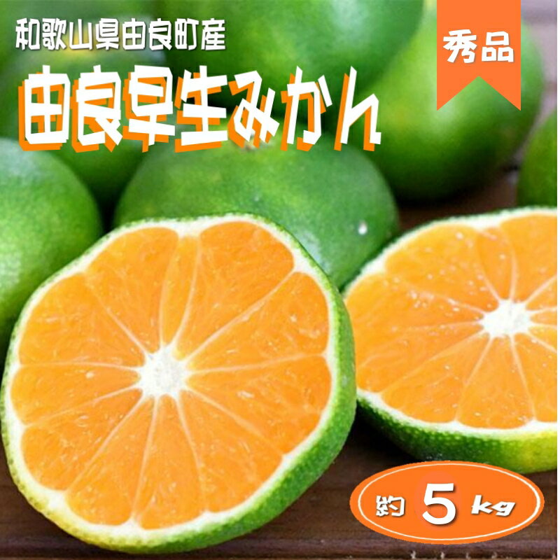 【ふるさと納税】 【秀品】和歌山由良町産 由良早生みかん 約5kg サイズおまかせ(L〜2S) いずれかお届け ミカン 柑橘 みかん 和歌山