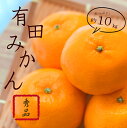 【ふるさと納税】 紀州有田みかん 秀品 約10kgサイズおまかせ(L・М・S) ミカン 柑橘 みかん 有田みかん 和歌山