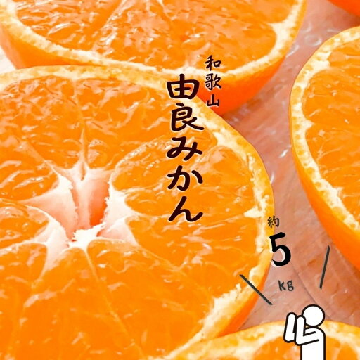 【ふるさと納税】和歌山由良みかん 秀品 約5kg サイズおまかせ(L・М・S) 【ふるさと納税】和歌山由良みかん 秀品 約5kg サイズおまかせ(L・М・S)