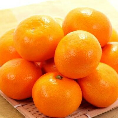 【ふるさと納税】 有田みかん 約1kg サイズ混合 ※2024年10月末〜2025年1月中旬頃に順次発送予定（お届け日指定不可) ミカン 柑橘 みかん 温州みかん 和歌山 有田 産地直送 フルーツ 果物