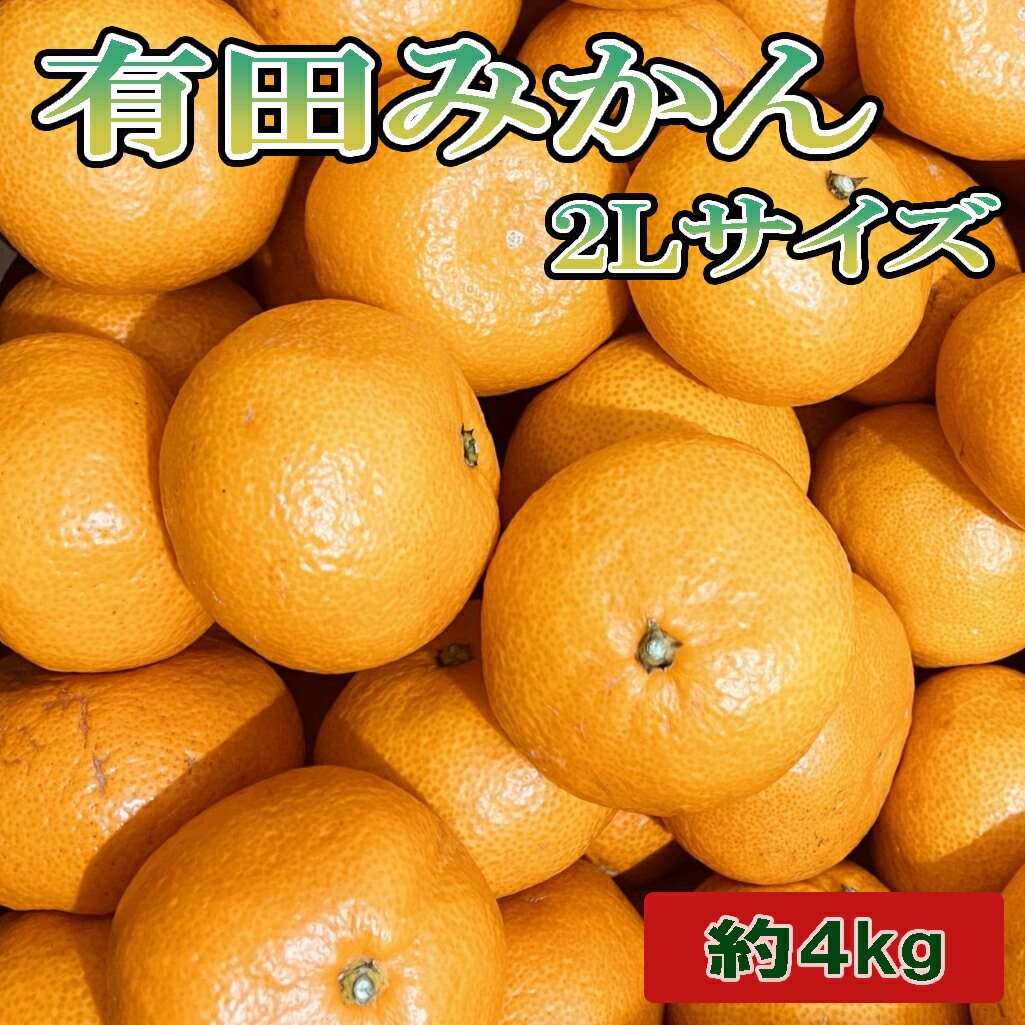 【ふるさと納税】 [秀品]和歌山有田みかん約4kg(2Lサイズ) ※2026年11月中旬～2027年1月中旬頃に順次発送予定(お届け日指定不可)
