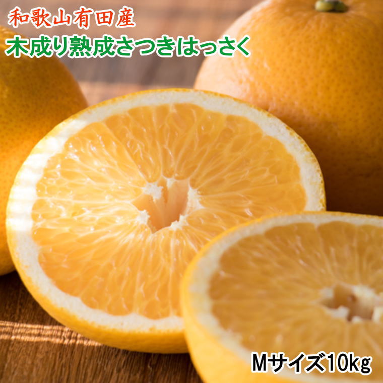 こだわりの和歌山有田産木成り熟成さつき八朔 10kg(Mサイズ)※2024年4月上旬〜4月下旬ごろ順次発送（お届け日指定不可）