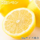 【ふるさと納税】 【産直】和歌山産レモン約5kg(サイズ混合)※2026年3月下旬~2026年5月上旬頃に順次発送予定(お届け日指定不可)