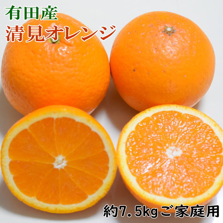 [産直]有田産清見オレンジ 約7.5kg(訳あり家庭用サイズおまかせまたは混合)[2025年2月上旬〜3月下旬頃に順次発送]
