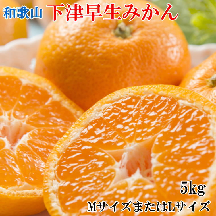 【ふるさと納税】 【産直・秀品】和歌山下津みかん約5kg(MサイズまたはLサイズのいずれかをお届け) ※2025年11月中旬~2026年1月中旬頃に順次発送(お届け日指定不可)