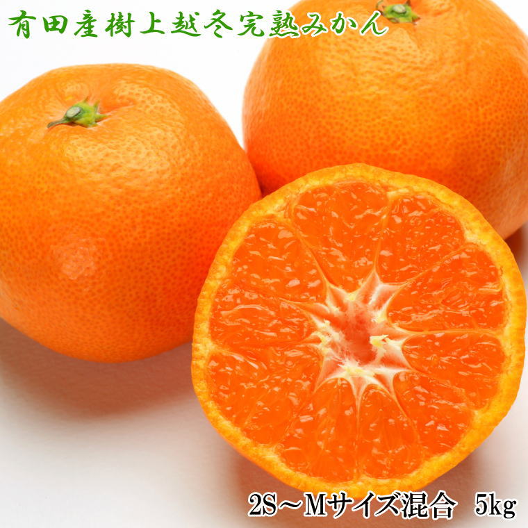 【濃厚・まろやか】有田産樹上越冬完熟みかん5kg（2S〜Mサイズ混合・秀品） ＜2025年1月下旬頃〜2月中旬頃に順次発送＞(お届け日指定不可)