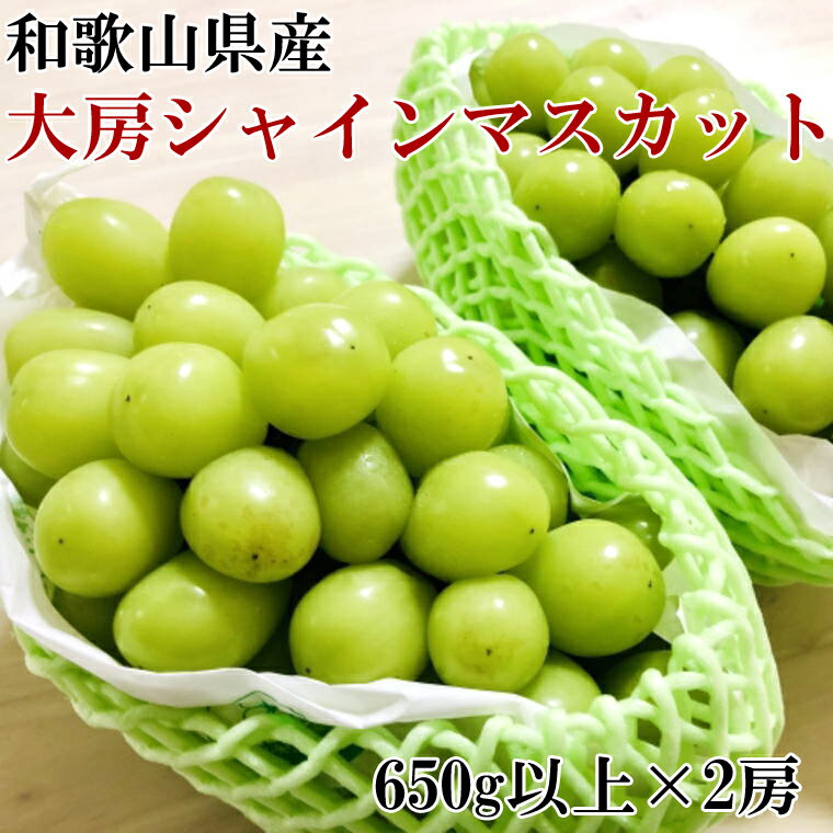 [数量限定]和歌山県産 大房 シャインマスカット 2房入り(1房650g×2房) ※2024年9月初旬から9月下旬頃順次発送 ぶどう ブドウ マスカット フルーツ 果物 くだもの 人気 予約