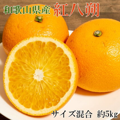 【2025年発送先行予約】【希少品】和歌山県産紅八朔約5kg（サイズ混合）※2025年1月下旬～2月中旬ごろ順次発送（お届け日指定不可）