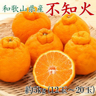 【ふるさと納税】 和歌山県産 不知火 約5kg（12玉～20玉おまかせ） ※2026年2月下旬～2026年4月中旬頃に順次発送予定（日付指定不可）