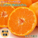 【ふるさと納税】 エコファーマーのこだわり有田みかん約5kg〜約10kg(サイズ混合) ※2025年11月中旬~2026年1月中旬頃順次発送 (お届け日指定不可)(4)