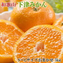 【ふるさと納税】 【産直・秀品】和歌山下津みかん約5kg(S~Lサイズおまかせ) ※2025年11月中旬~2026年1月中旬頃順次発送予定(お届け日指定不可)
