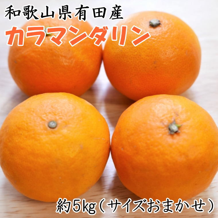 【ふるさと納税】【春みかん】和歌山有田産カラマンダリン約5kg(サイズおまかせ)※2026年4月上旬～2026年5月中旬頃に順次発送（お届け日指定不可）