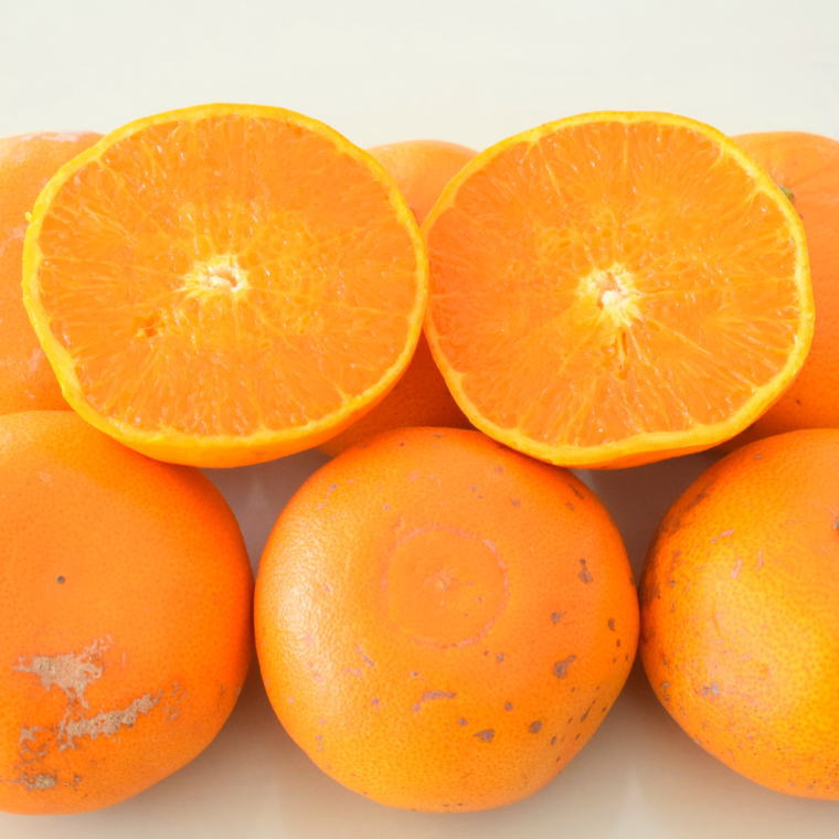 【ふるさと納税】(訳あり・ご家庭用)一度は食べていただきたい「有田産のせとか」約4kg～5kg　※2026年2月中旬～2026年3月上旬頃に順次発送