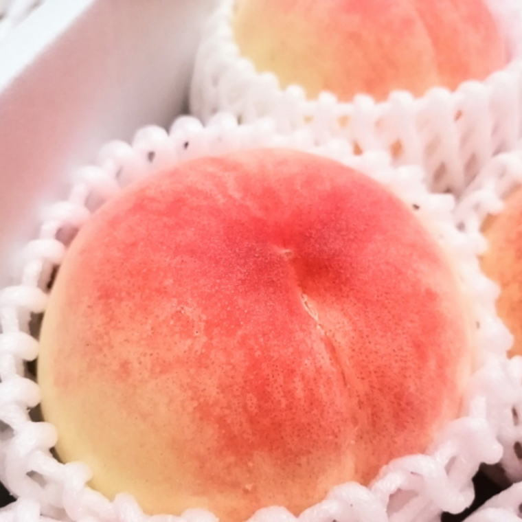 【ふるさと納税】 定期便全3回 【7月・8月・9月発送】 和歌山の夏の人気フルーツをお届け（桃・梨・シャイン）