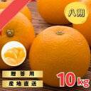 【ふるさと納税】 【先行予約】完熟木なりハッサクみかん 贈答用 秀品 10kg(M~3Lサイズ)【2026年3月上旬から3月下旬までに順次発送】/ みかん ハッサク 八朔 柑橘 果物 フルーツ 贈答