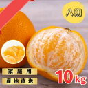 【ふるさと納税】 【先行予約】訳あり ご家庭用 完熟木なりハッサクみかん 10kg(M~3Lサイズ)【2026年3月上旬から3月下旬までに順次発送】/ みかん ハッサク 八朔 柑橘 果物 フルーツ 訳あり
