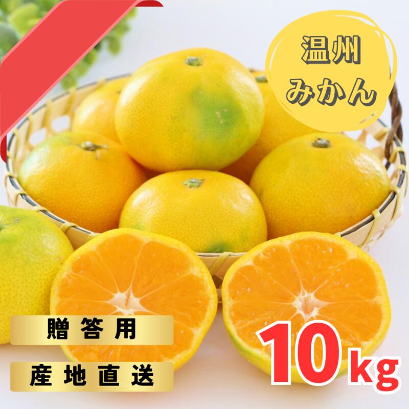 【ふるさと納税】 【先行予約】ゆら早生みかん 贈答用 秀品 10kg（2S～2L）【2025年10月上旬から10月下旬までに順次発送】 / みかん 蜜柑 柑橘 果物 フルーツ 早生 秀品 贈答