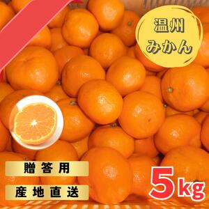[先行予約]宮川早生みかん 贈答用 秀品 5kg(2S〜2L)[2025年11月下旬から12月中旬までに順次発送] / みかん 蜜柑 柑橘 果物 フルーツ 早生 秀品 贈答
