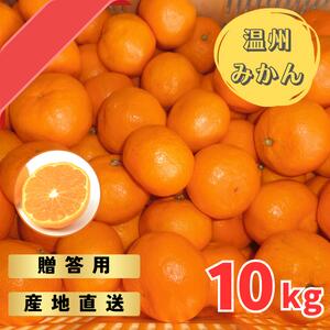 【先行予約】宮川早生みかん 贈答用 秀品 10kg（2S~2L）【2024年11月下旬から12月中旬までに順次発送】 / みかん 蜜柑 柑橘 果物 フルーツ 早生 秀品 贈答