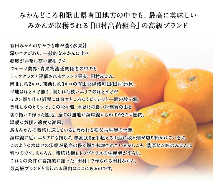 【ふるさと納税】 田村みかん 秀品5キロ サイズおまかせ/紀伊国屋文左衛門本舗 ◆2026年11月下旬～2027年1月中旬頃に順次発送予定(お届け日指定不可)【予約受付】 f302074-shingu-10000248 和歌山県新宮市 サンプル画像3