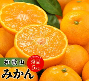 【ふるさと納税】 田村みかん 秀品5キロ サイズおまかせ/紀伊国屋文左衛門本舗 ◆2025年11月下旬~2026年1月中旬頃に順次発送予定(お届け日指定不可)【予約受付】