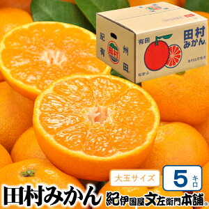 【ふるさと納税】 【予約受付】田村みかん 5kg 秀品【大玉サイズ】/紀州和歌山有田郡湯浅町田村地区産 ◆2025年11月下旬~2026年1月中旬頃に順次発送(お届け日指定不可) 紀伊国屋文左衛門本舗 有田みかん ミカン 和歌山 糖度 ギフト 高級