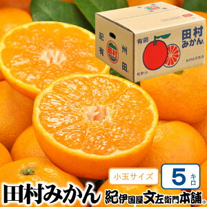 【ふるさと納税】 【予約受付】田村みかん 5kg 秀品【小玉サイズ】/紀州和歌山有田郡湯浅町田村地区産 ◆2025年11月下旬~2026年1月中旬頃に順次発送(お届け日指定不可) 紀伊国屋文左衛門本舗 有田みかん ミカン 和歌山 糖度 ギフト 高級