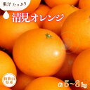 【ふるさと納税】 清見オレンジ約5kg 約8kg (果実サイズおまかせ) 紀伊国屋文左衛門本舗【2026年2月中旬〜4月下旬頃に発送予定】