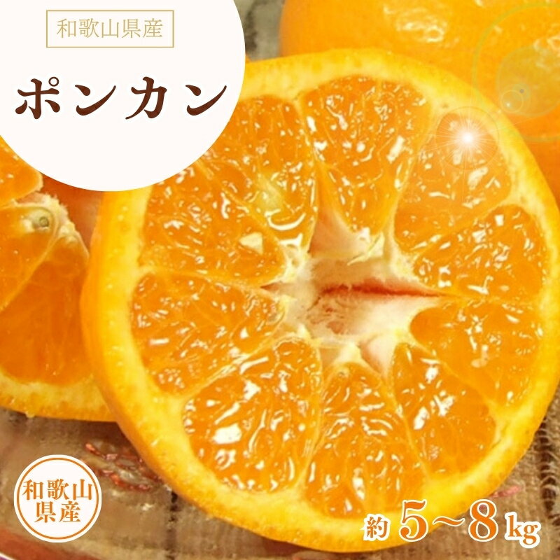 【ふるさと納税】 ポンカン 約5kg 約8kg / サイズおまかせ ※2026年1月下旬～2月下旬頃に順次発送予定(お届け日指定不可) 紀伊国屋文左衛門本舗
