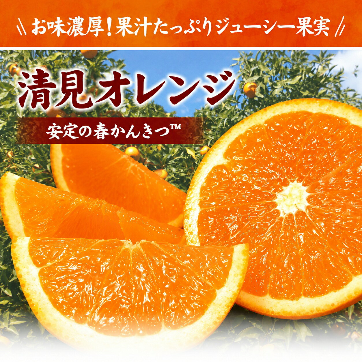田村産清見オレンジ[約4.5kg]湯浅町田村産春みかん(果実サイズおまかせ)/紀伊国屋文左衛門本舗 ※2027年3月中旬〜2027年4月下旬頃発送予定