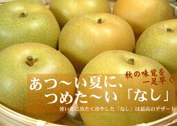 【ふるさと納税】和歌山の梨（なし）幸水品種 約4kg【秀品：サイズおまかせ】和歌山県産 フルーツ 紀伊国屋文左衛門本舗 / 梨 なし ナシ 幸水 こうすい