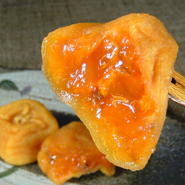 和歌山県新宮市の画像3