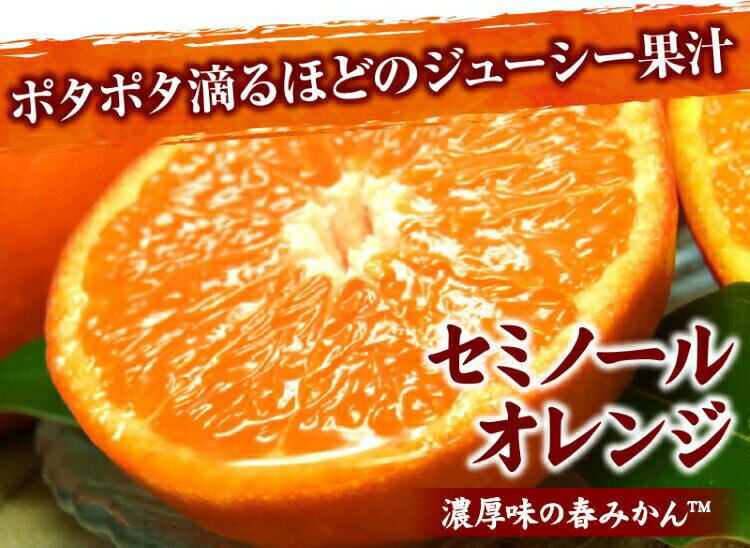 【ふるさと納税】 セミノールオレンジ 約5kg / サイズおまかせ ※2025年4月中旬〜5月下旬頃に順次発送予定(お届け日指定不可) 紀伊国屋文左衛門本舗