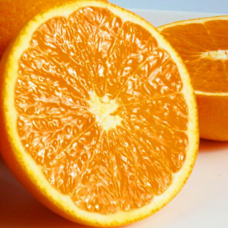 [予約][ジューシー]清見オレンジ 5kg ※2025年3月下旬〜2025年4月中旬頃に順次発送予定(お届け日指定不可)