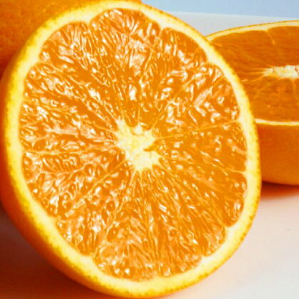 【予約】【ジューシー】清見オレンジ 5kg　※2025年3月下旬〜2025年4月中旬頃に順次発送予定（お届け日指定不可）
