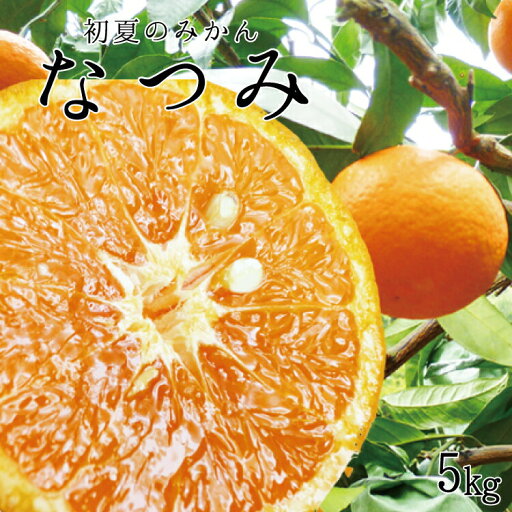 【ふるさと納税】 初夏のみかん なつみ5kg【予約】※2026年4月中旬頃〜2026年4月下旬頃に順次発送予定(お届け日指定不可) 【ふるさと納税】 初夏のみかん なつみ5kg【予約】※2026年4月中旬頃〜2026年4月下旬頃に順次発送予定(お届け日指定不可)