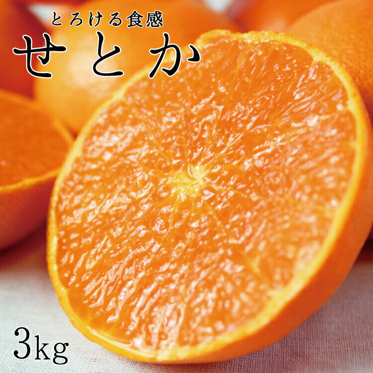 【ふるさと納税】とろける食感！ジューシー柑橘　せとか　約3kg※2023年2月下旬頃～2023年3月中旬頃発送(お届け日指定不可)