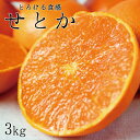 商品詳細 名称： せとか 内容量： せとか　約3kg 賞味期限： 出荷日より7日 保存方法： 直射日光の当たらない、風通しの良い冷暗所で保存。 配送温度帯： 常温 製造者もしくは販売者 株式会社魚鶴商店 提供 株式会社魚鶴商店 返礼品発送元 株式会社魚鶴商店 注意事項： ・到着後すぐ箱から全部取り出し、傷んでいるものやカビが生えているものがないか確認してください。 ・返礼品の内容に問題がある場合はお届けから3日以内にご連絡ください。 ・保管はフタを開けて、できるだけ風通しのよい冷暗所で保存してください。 せとかは「清見」に「アンコール」を掛け合わせたものに、更に「マーコット」を掛けて合わせた品種です。 見た目よりズッシリとした重みの果肉は非常にジューシーで甘く、ほどよい酸味もありオレンジのような濃厚な味が楽しめます。 また、内皮も薄く、柔らかで食べやすさにも優れていて、薄い皮は手で簡単にむくことができます。 やわらかくとろける食感と、瑞々しいオレンジの香りを存分に楽しんでください。 ・ふるさと納税よくある質問は こちら ・寄附申込みのキャンセル、返礼品の変更・返品はできません。あらかじめご了承ください。 ・誠に申し訳ございませんが、離島へのお礼品の配送はお受けできません。 ・【こちらのお礼品は湯浅町と新宮市との共通返礼品となります〔出荷元:魚鶴商店契約農家〕】 平成31年総務省告示第179号第5条第8号イ「市区町村が近隣の他の市区町村と共同で前各号いずれかに該当するものを共通の返礼品等とするもの」に該当する返礼品として、湯浅町と新宮市と合意したものです。【注文内容確認画面の「注文者情報」を寄附者の住民票情報とみなします】 ・必ず氏名・住所が住民票情報と一致するかご確認ください。 ・受領書は住民票の住所に送られます。 ・返礼品を住民票と異なる住所に送付したい場合、注文内容確認画面の「送付先」に返礼品の送付先をご入力ください。 ※「注文者情報」は楽天会員登録情報が表示されますが、正確に反映されているかご自身でご確認ください。