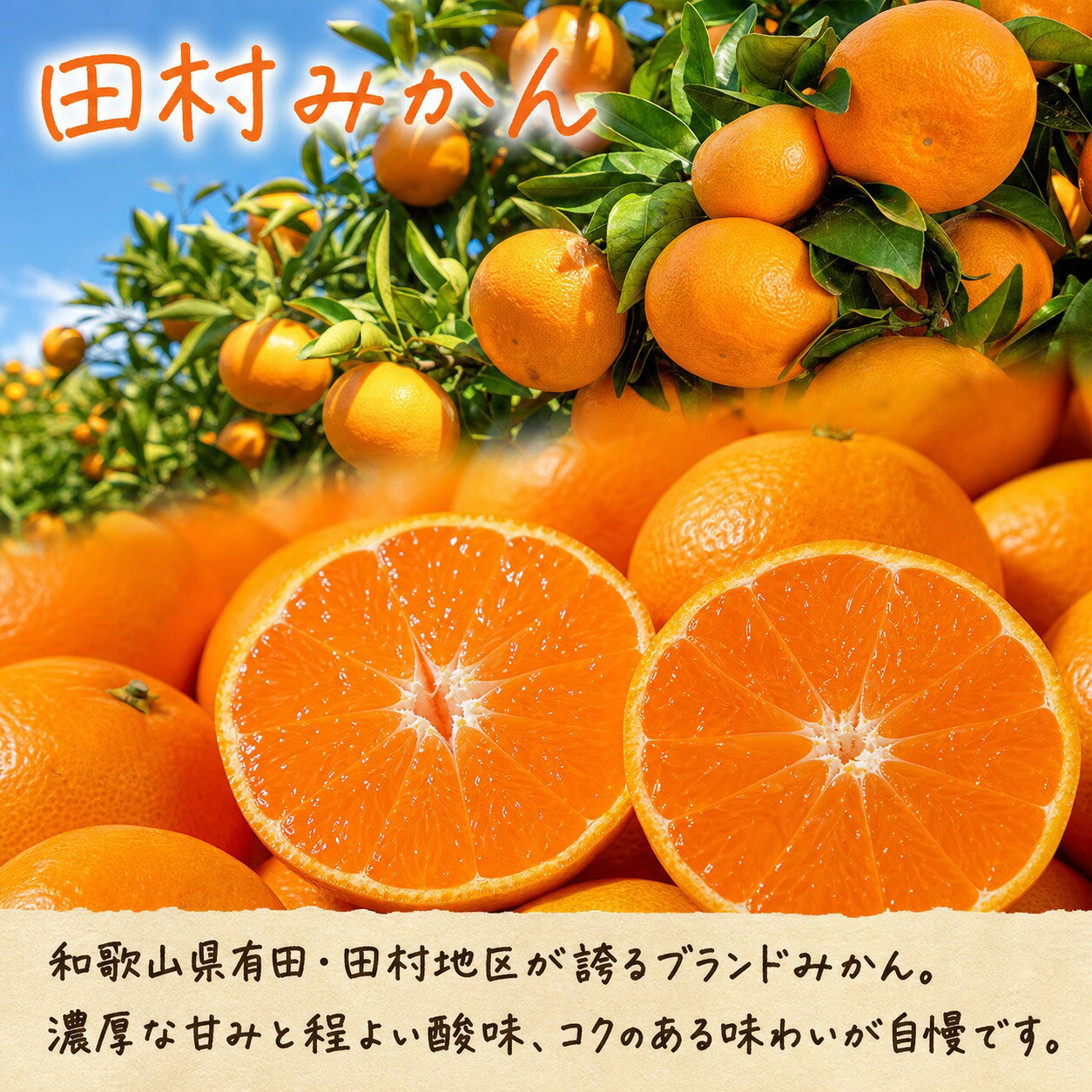 【ふるさと納税】 【全3回定期便】フルーツ大国和歌山よりお届け！旬のフルーツ定期便A【田村みかん・まりひめ・紀州デコ】 / フルーツ 果物 みかん いちご 旬 定期便