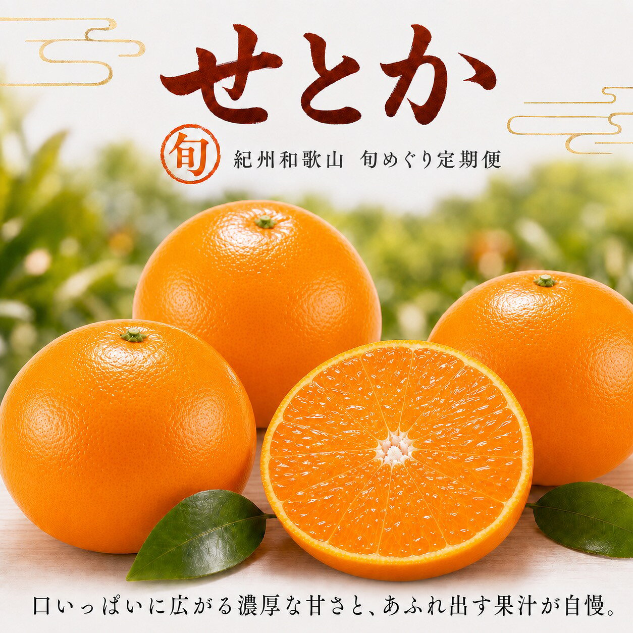 【ふるさと納税】 【全3回】 紀州和歌山産旬のフルーツセット (せとか・桃・富有柿) / 定期便 フルーツ フルーツ定期便 おすすめ 和歌山 果物 くだもの f302074-shingu-10002335 和歌山県新宮市 サンプル画像2