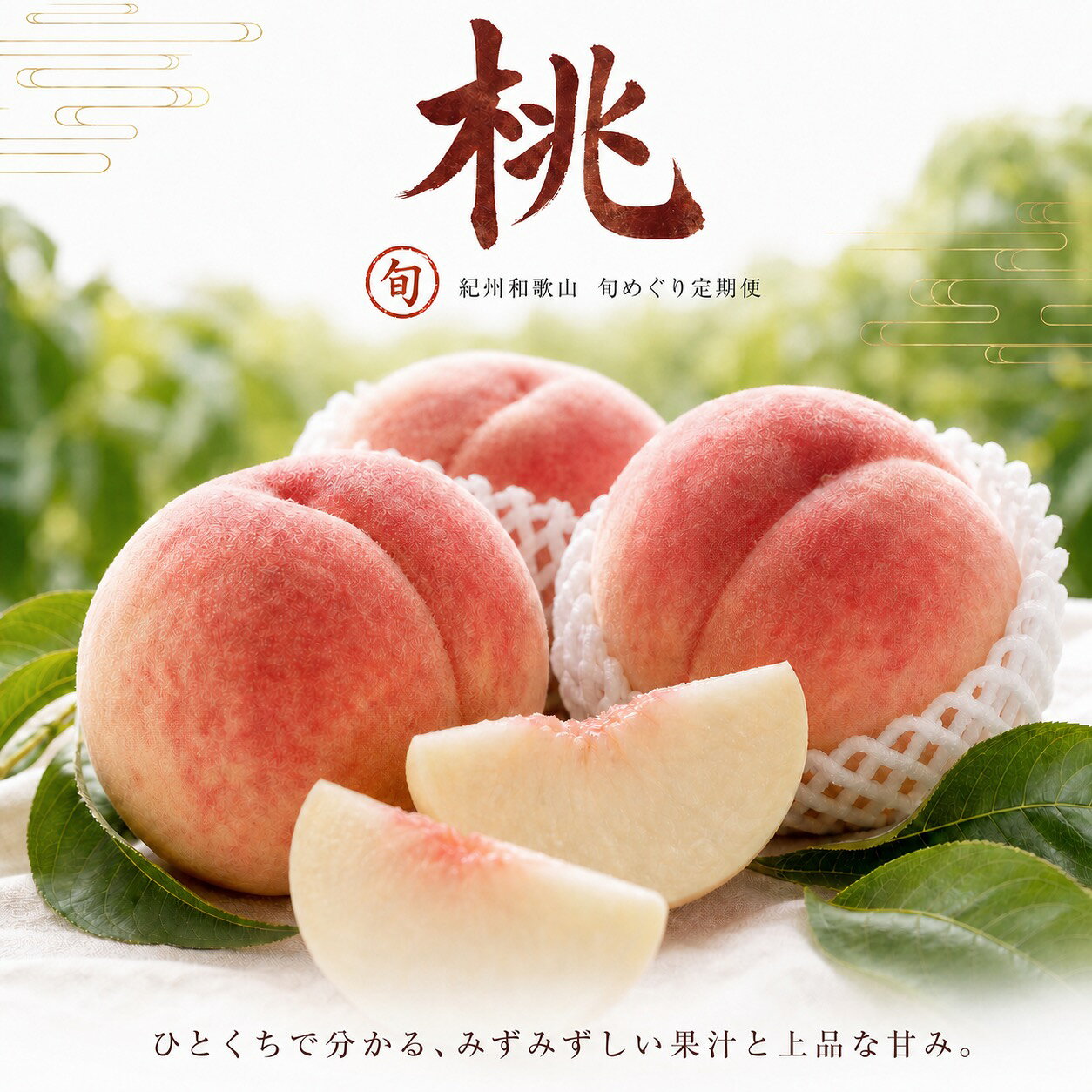 【ふるさと納税】 【全3回】 紀州和歌山産旬のフルーツセット (せとか・桃・富有柿) / 定期便 フルーツ フルーツ定期便 おすすめ 和歌山 果物 くだもの f302074-shingu-10002335 和歌山県新宮市 サンプル画像3