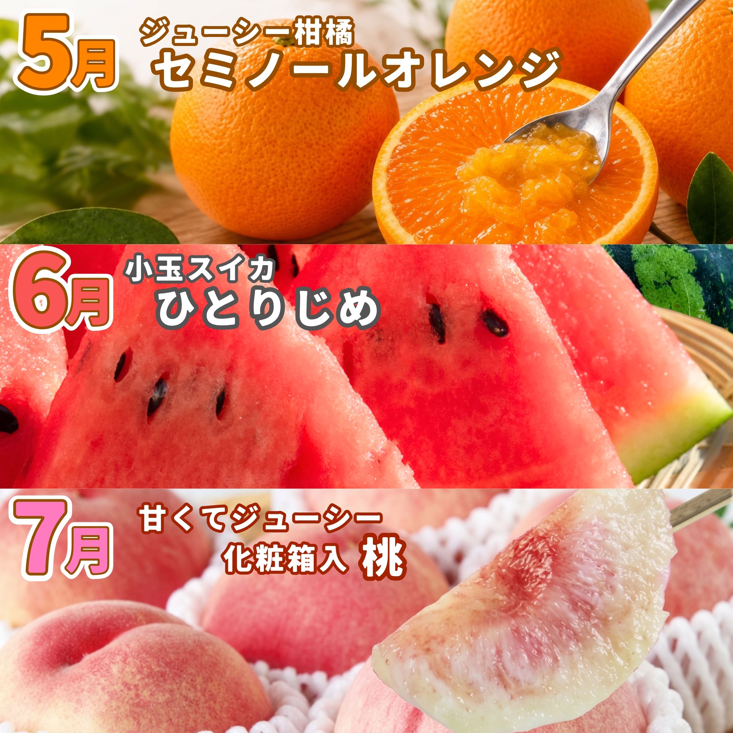 【ふるさと納税】 【全3回】紀州和歌山産旬のフルーツ定期便（セミノール・スイカ・桃）【5月・6月・7月】