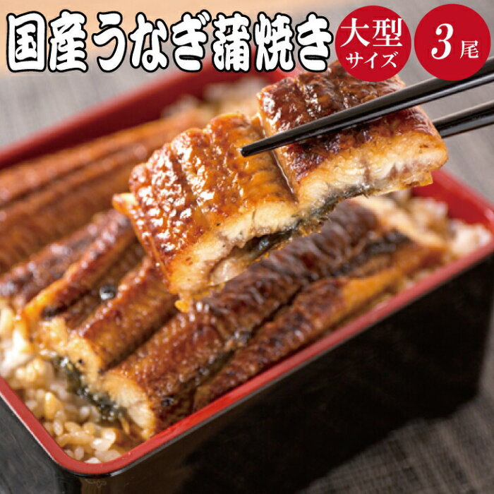 【ふるさと納税】国産 うなぎ蒲焼き 大型サイズ×3尾（約510g） タレ付き / 蒲焼 鰻 ウナギ ふっくら柔らか