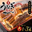 【ふるさと納税】 【大型サイズ】【土用の丑】ふっくら柔らか 国産うなぎ蒲焼き <選べる本数> 【 1尾 ・ 2尾 ・ 3尾 】 化粧箱入り / ウナギ 鰻 うなぎ蒲焼 国産