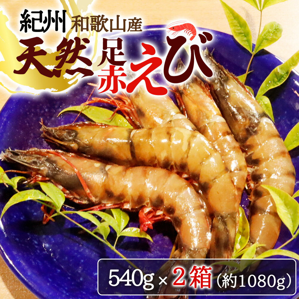 【ふるさと納税】紀州和歌山産天然足赤えび540g×2箱（270g×4パック）化粧箱入 ※2024年11月上旬頃〜202...