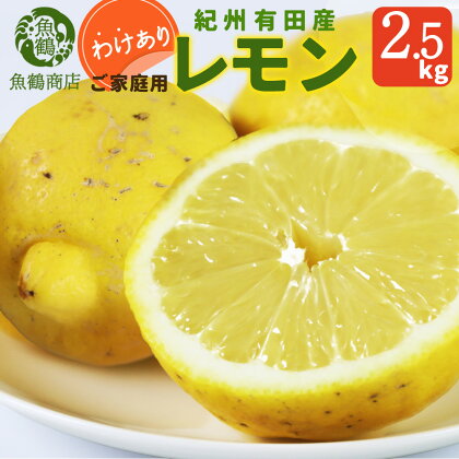 【ご家庭用訳あり】紀州有田産レモン　2.5kg【予約】※2025年3月上旬頃～3月下旬頃に順次発送予定(お届け日指定不可) レモン れもん 果物 柑橘