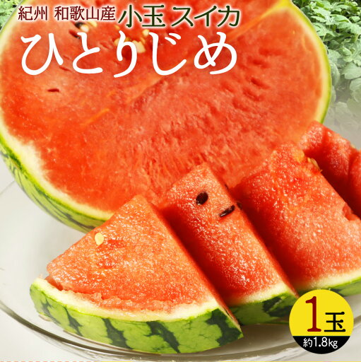 【ふるさと納税】 紀州和歌山産小玉スイカ「ひとりじめ」1玉【予約】※2025年6月上旬頃〜6月下旬頃に順次発送予定(お届け日指定不可) スイカ すいか 果物 【ふるさと納税】 紀州和歌山産小玉スイカ「ひとりじめ」1玉【予約】※2025年6月上旬頃〜6月下旬頃に順次発送予定(お届け日指定不可) スイカ すいか 果物