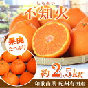 13位! 口コミ数「0件」評価「0」【先行予約】紀州有田産不知火(しらぬひ) 2.5kg ※2025年2月中旬頃～3月中旬頃に順次発送予定（お届け日指定不可）/ みかん 不知火･･･ 