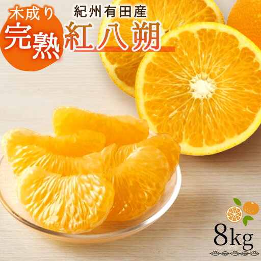【ふるさと納税】 【先行予約】紀州有田産木成り完熟紅八朔8kg ※2026年2月末頃〜2026年3月中旬頃に順次発送予定(お届け日指定不可)/ みかん 不知火 和歌山 フルーツ 有田 【ふるさと納税】 【先行予約】紀州有田産木成り完熟紅八朔8kg ※2026年2月末頃〜2026年3月中旬頃に順次発送予定(お届け日指定不可)/ みかん 不知火 和歌山 フルーツ 有田